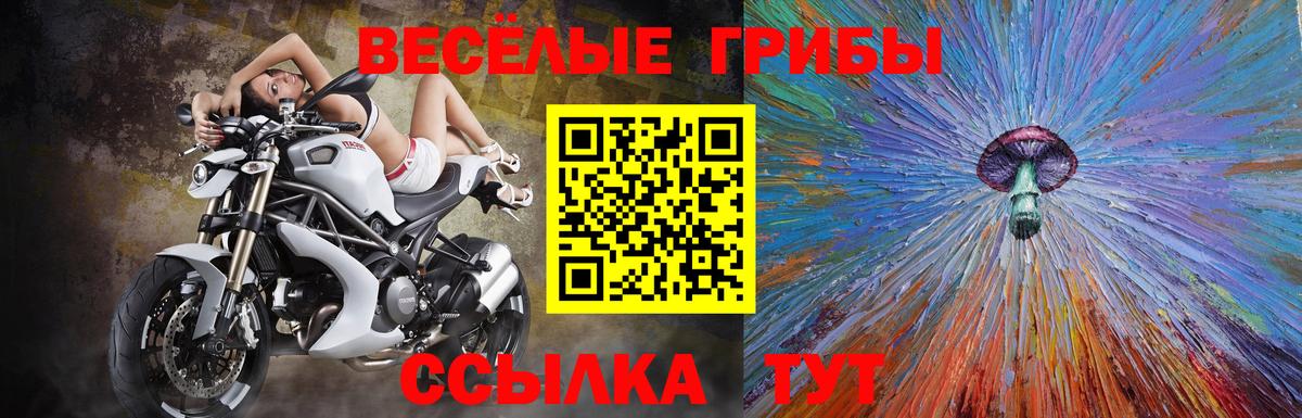 Ачхой-Мартан  Псилоцибиновые грибы Cubensis  Вход с VPN 