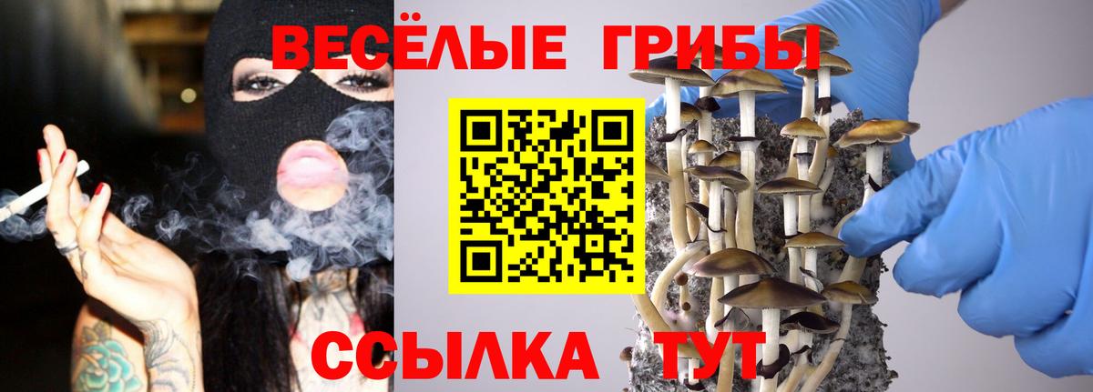 Псилоцибиновые грибы прущие грибы Ачхой-Мартан